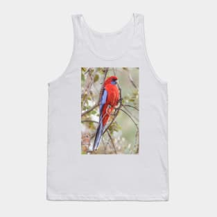 Crimson Rosella 01 Tank Top